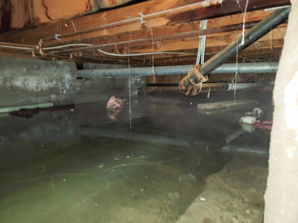 Best 24/7 water damage repair  in Osage, IA