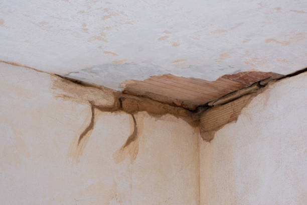 Best Water damage restoration specialists  in Osage, IA