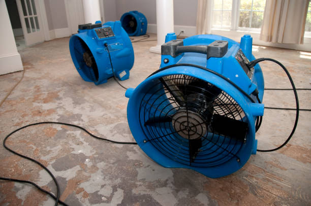 Best Ceiling water damage repair  in Osage, IA