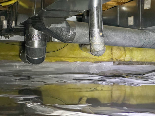 Best Fire Damage Restoration  in Osage, IA