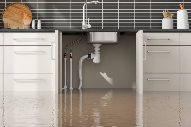 Best Flooded house restoration  in Osage, IA