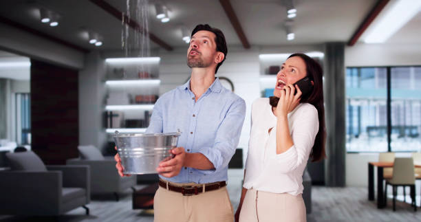 Best Professional water damage repair  in Osage, IA